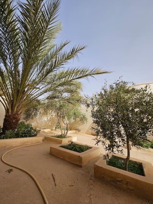 Hadhri Appartement Таузар Экстерьер фото